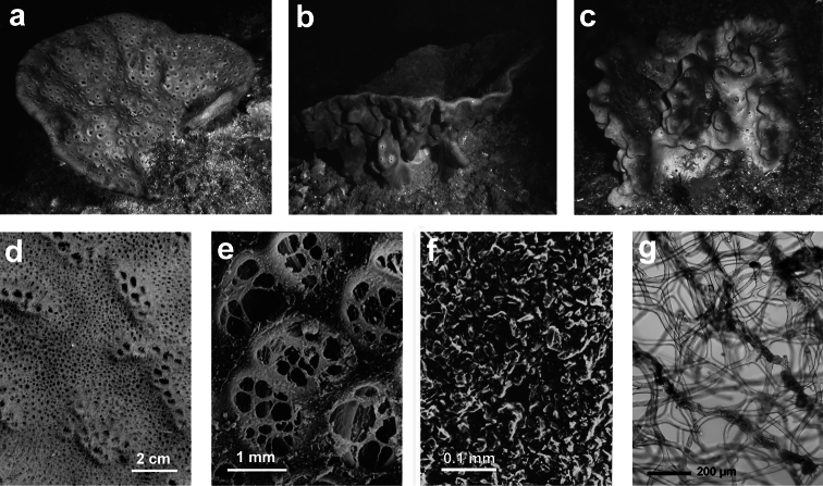 Figure 26