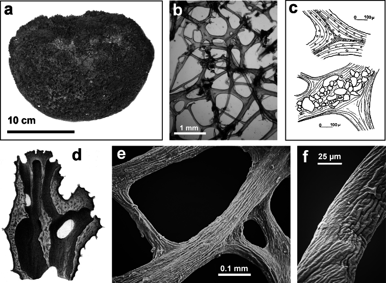 Figure 34