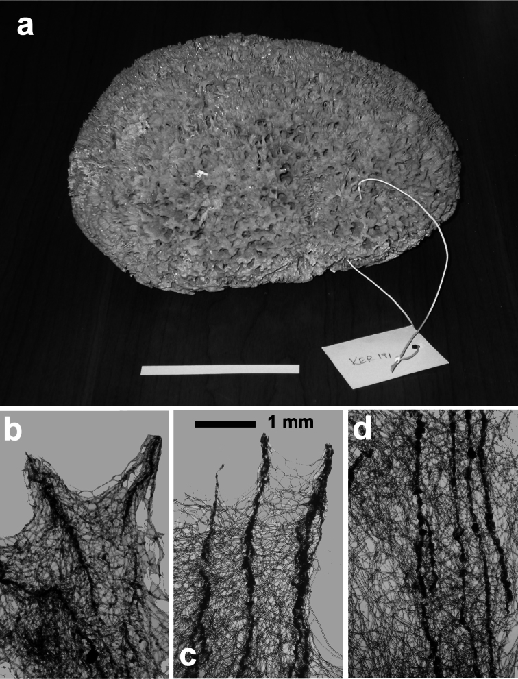 Figure 25