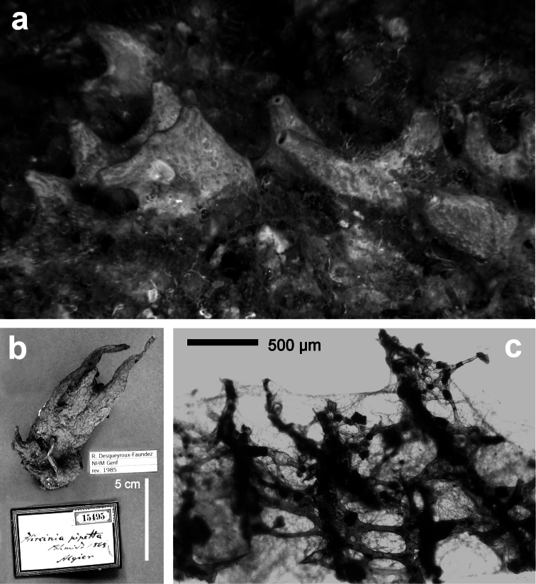 Figure 22