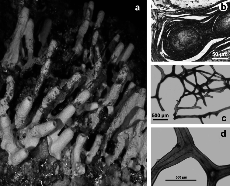 Figure 38.