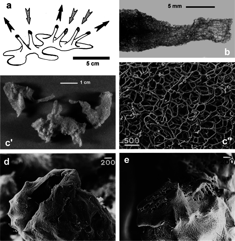 Figure 29