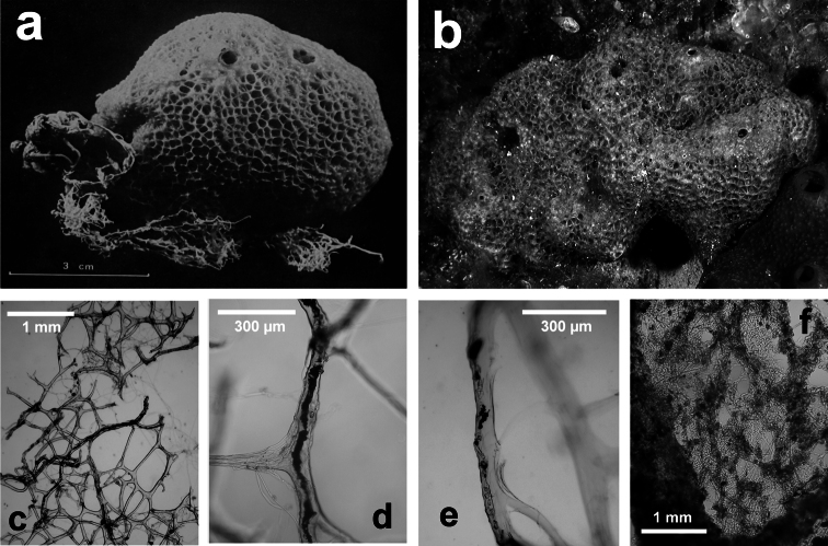 Figure 18