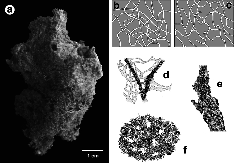 Figure 24