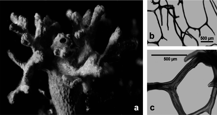 Figure 37.