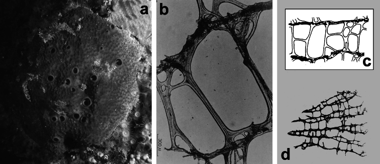 Figure 33