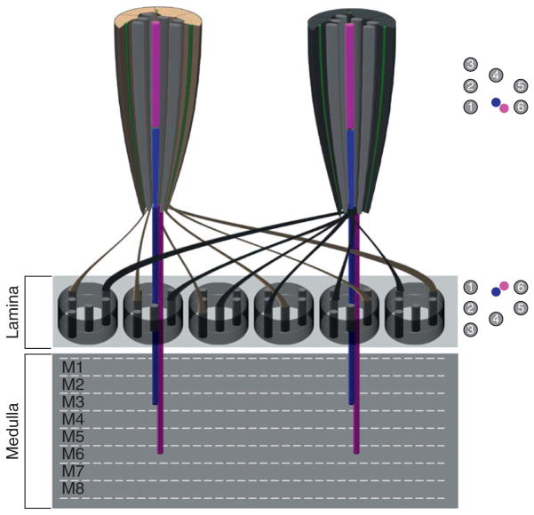 Figure 5.4