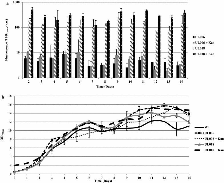 Fig. 3