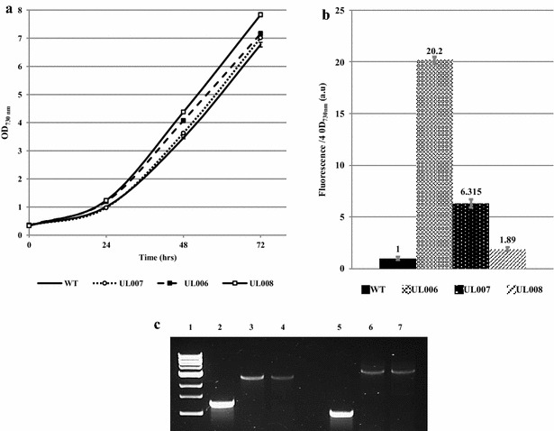 Fig. 2