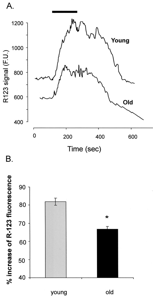 Fig. 9.