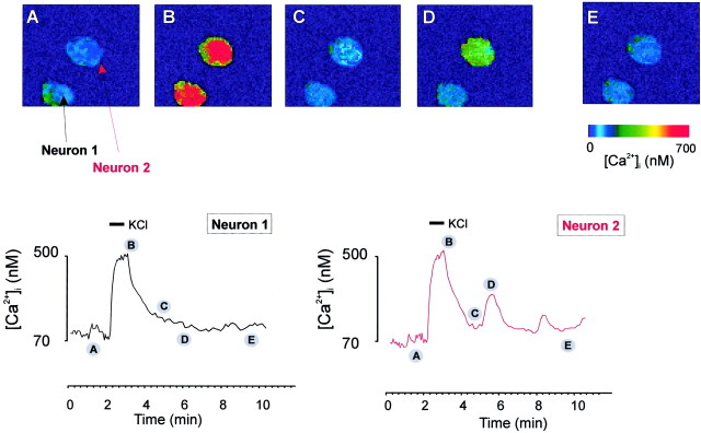 Fig. 4.