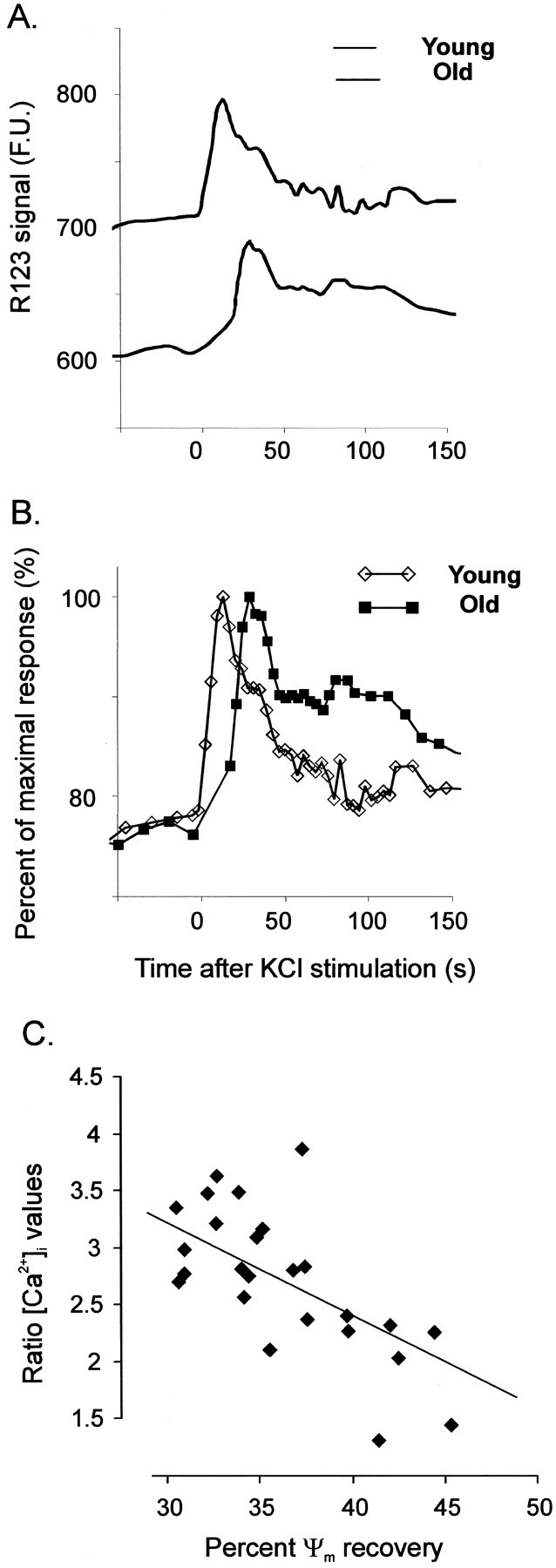 Fig. 8.