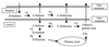 FIG. 1.