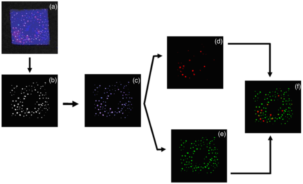 Fig.6