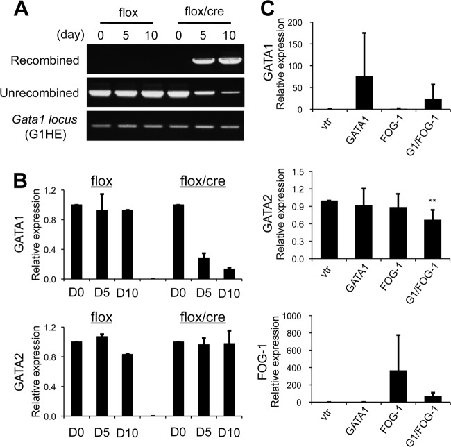 Fig 4