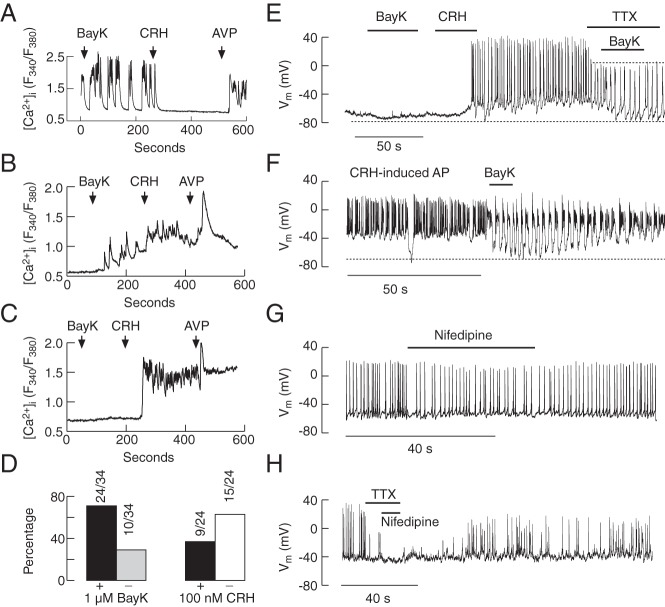 Figure 10.