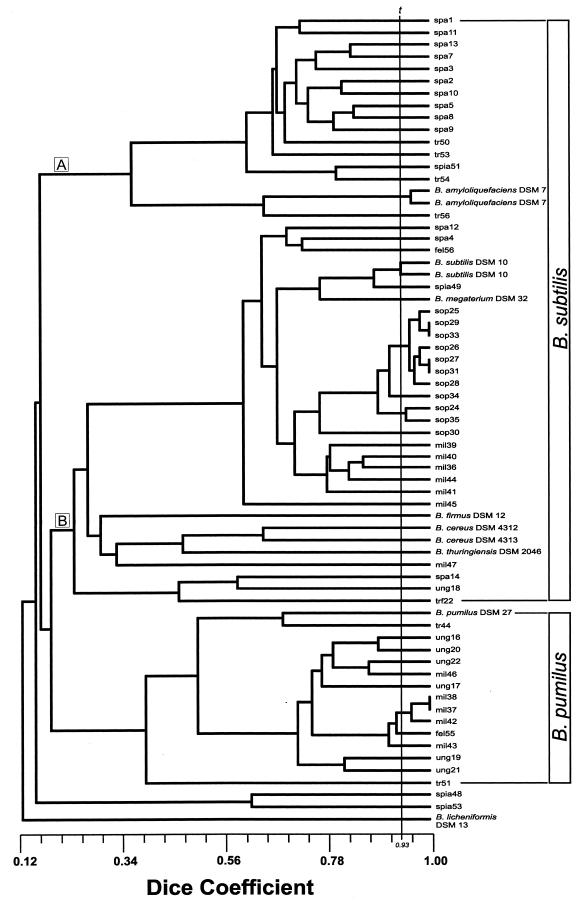 FIG.3.