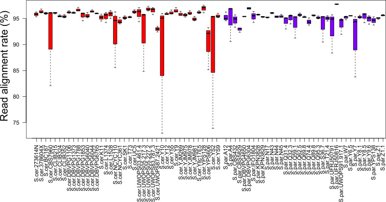 Figure 2—figure supplement 1.