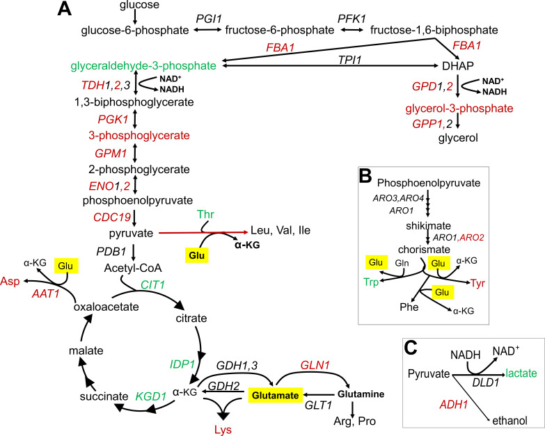 Figure 6.