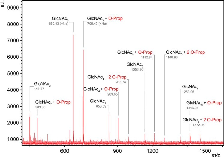 FIGURE 2.