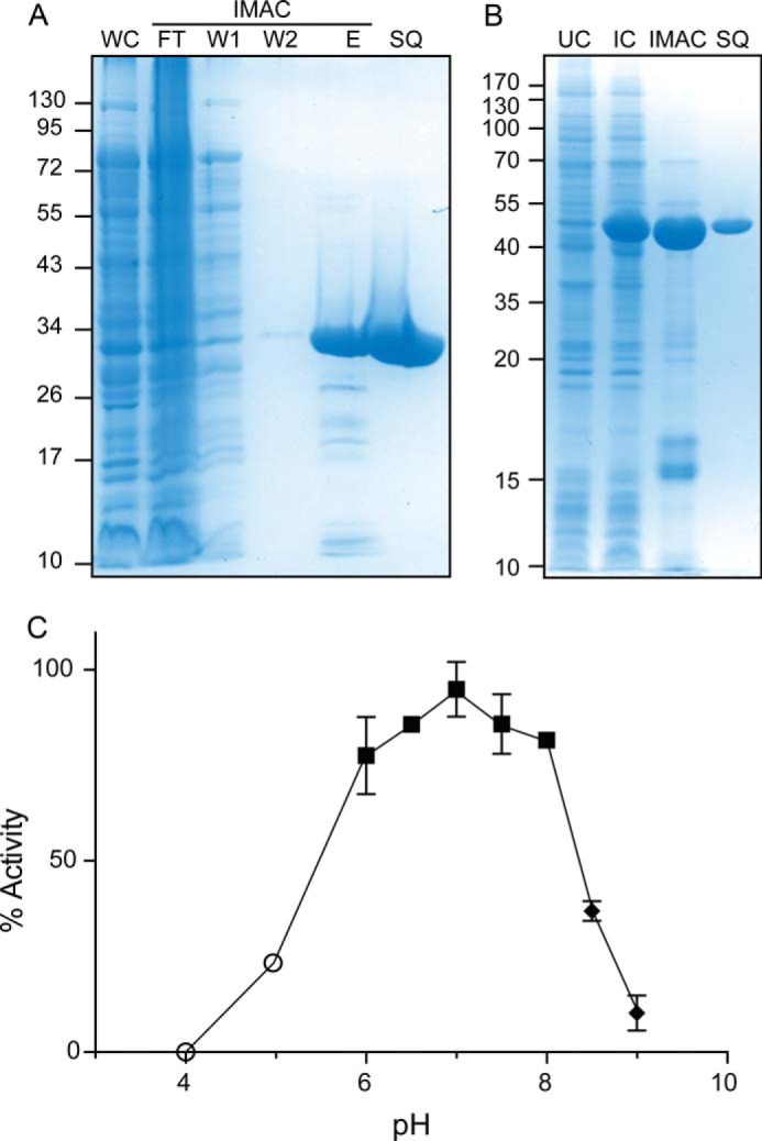 FIGURE 1.