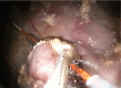 Fig. 4