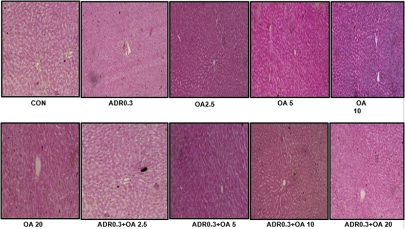 Figure 16