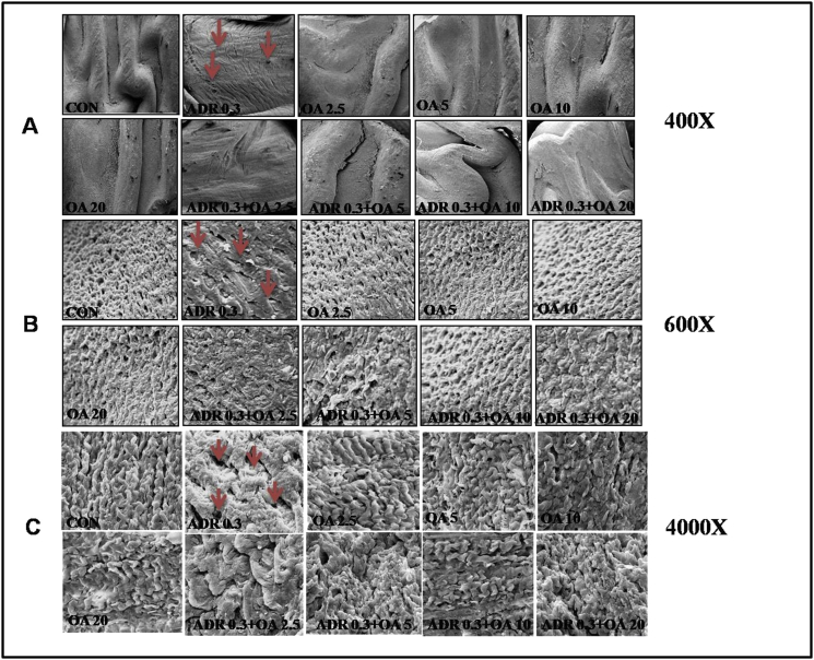 Figure 3