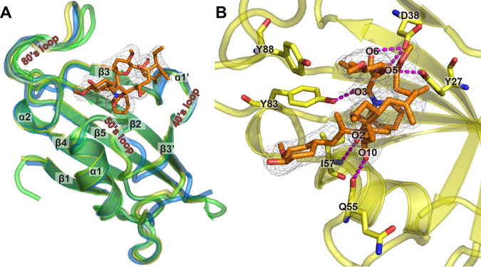 FIG 2