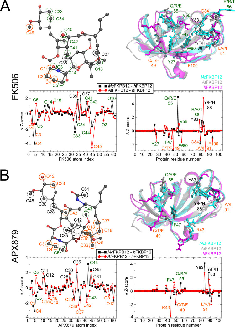 FIG 6