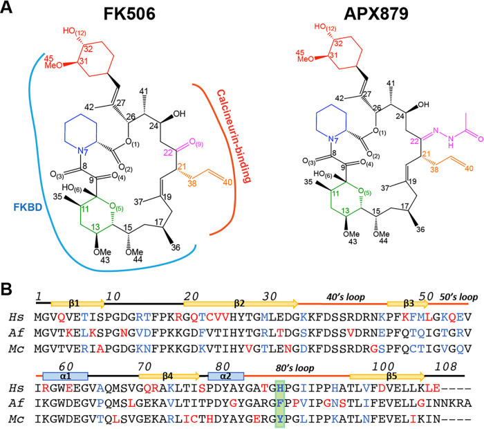 FIG 1