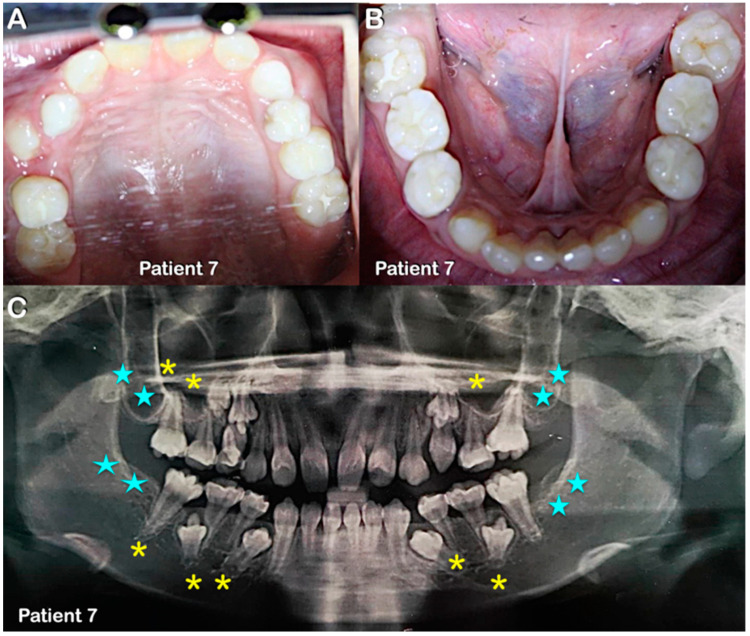 Figure 6