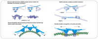 Graphical Abstract