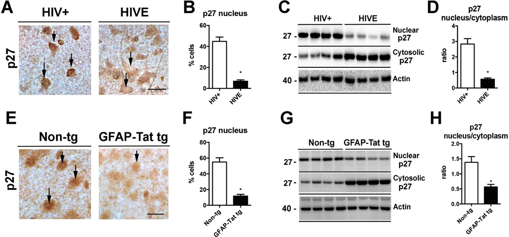 Fig. (4)