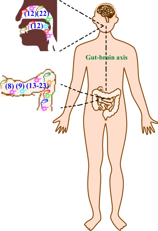 Fig. 1