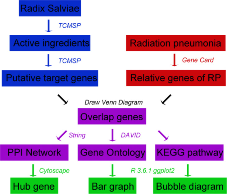 Figure 1