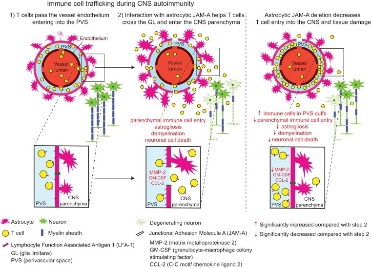 Graphical Abstract