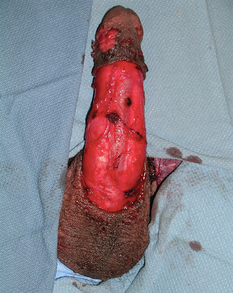 Fig. 5.