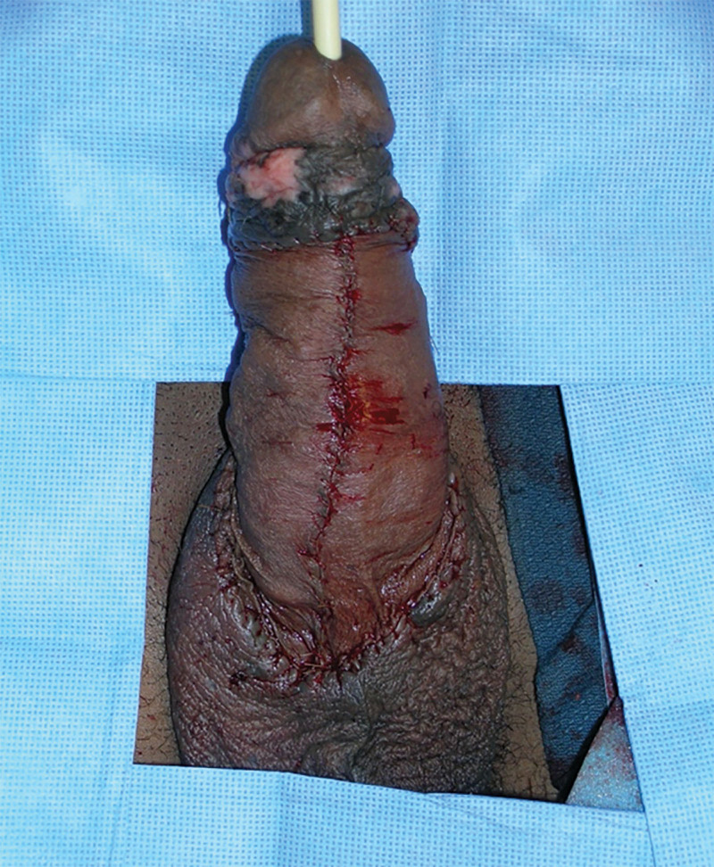 Fig. 6.