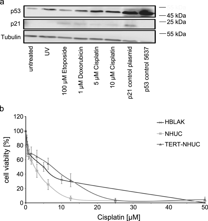 Fig.4