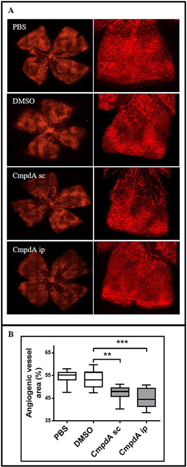 Figure 4.