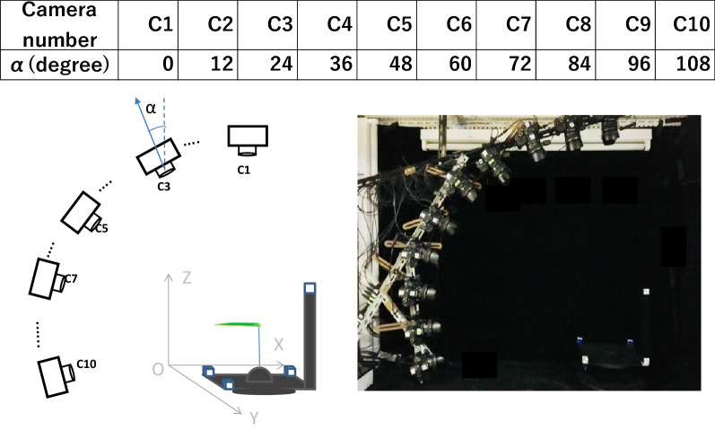 Fig. 1