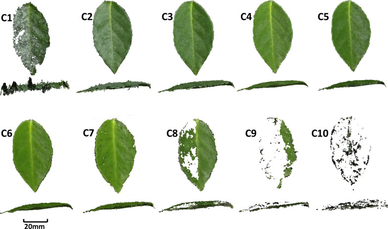 Fig. 3