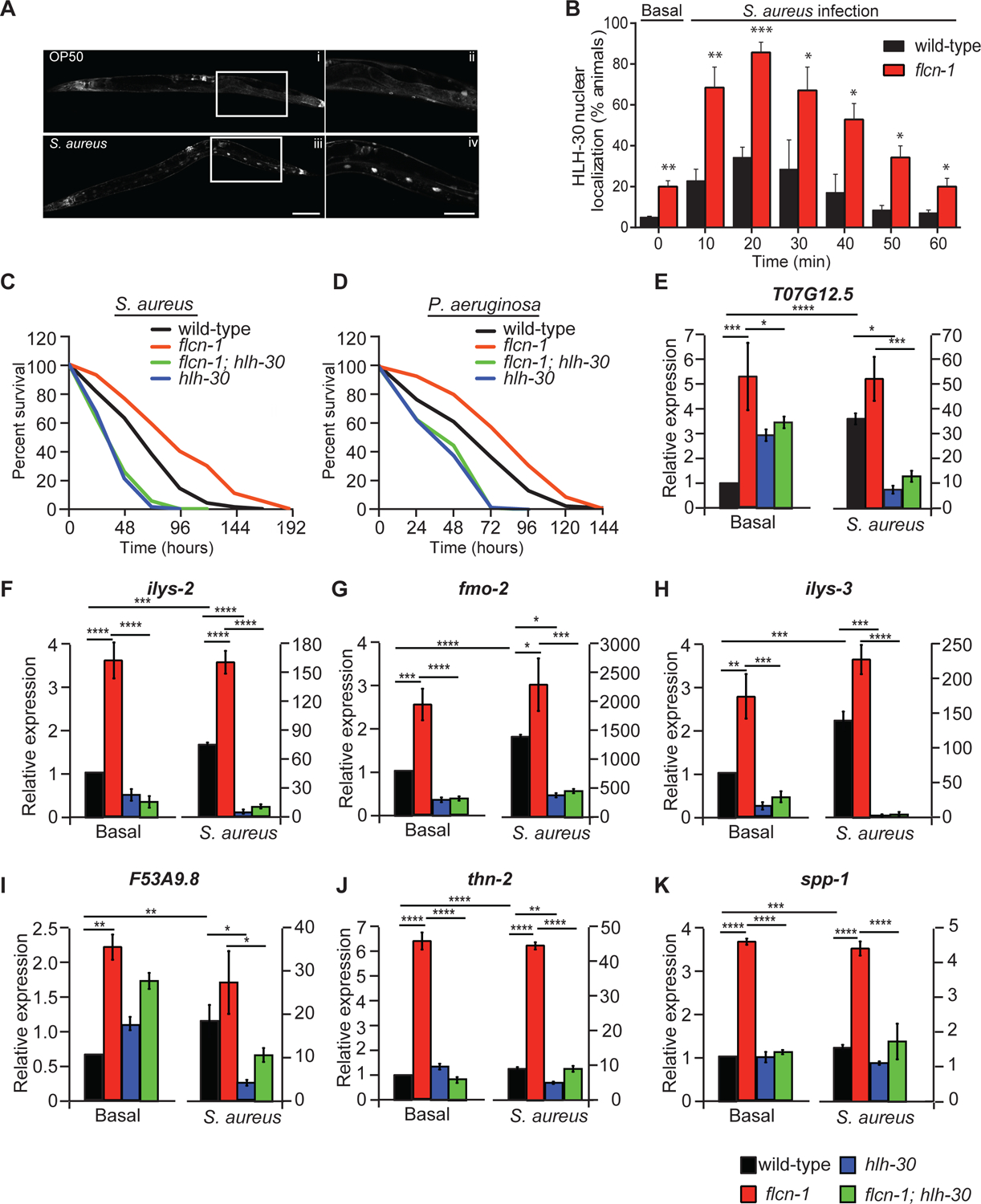 Figure 2: