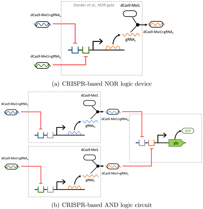 Figure 4: