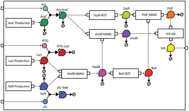 Figure 5: