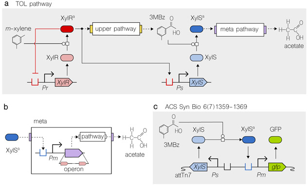 Figure 6: