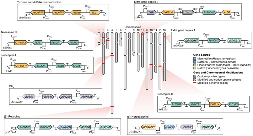 Figure 7: