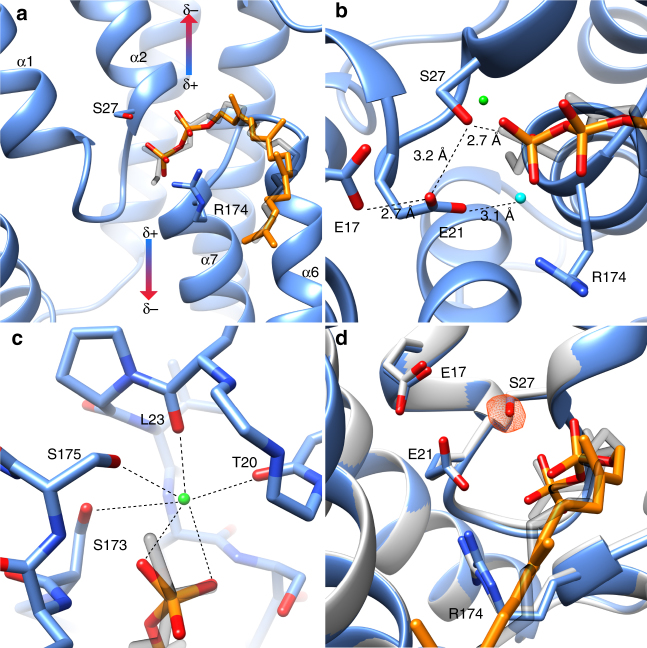 Fig. 4