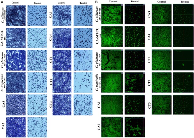 FIGURE 4